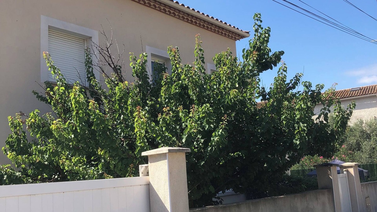 Saint-Jean-de-Vedas Villa | Étage Dune Villa T4 Avec Jardin