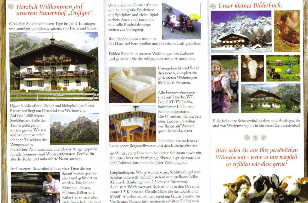 Werfenweng Apartment | Örglgut
