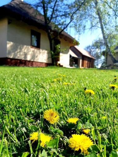 Viszak Apartment | Őrségi Lak-Tanya
