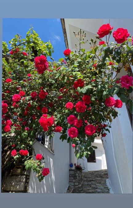 Makrynitsa Apartment | Διαμέρισμα Αγγελική