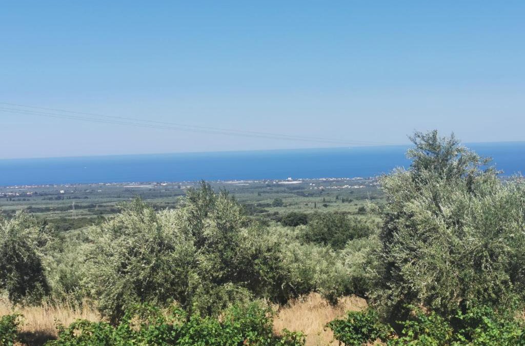 Trifylia Villa | Εφχαριστη βιλα με εσωτερικο τζακι