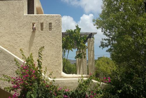 Kefalos House | Ζini 2
