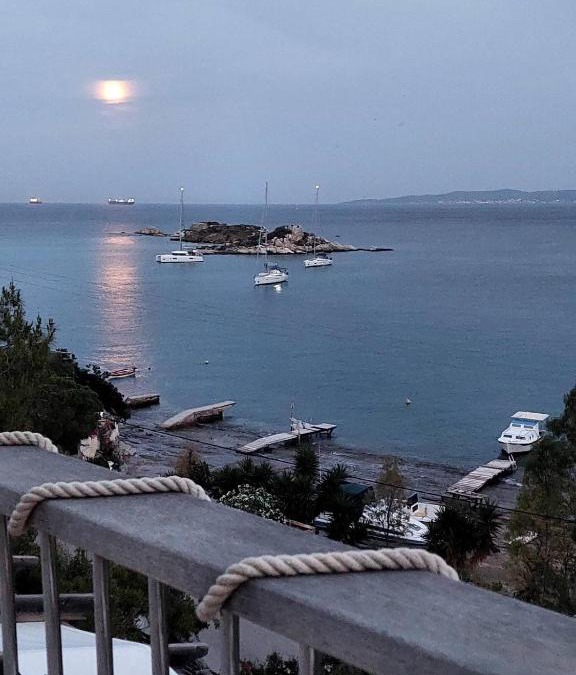 Salamis House | ΘΕΑΛΟΣ ΒΡΑΧΟΣ
