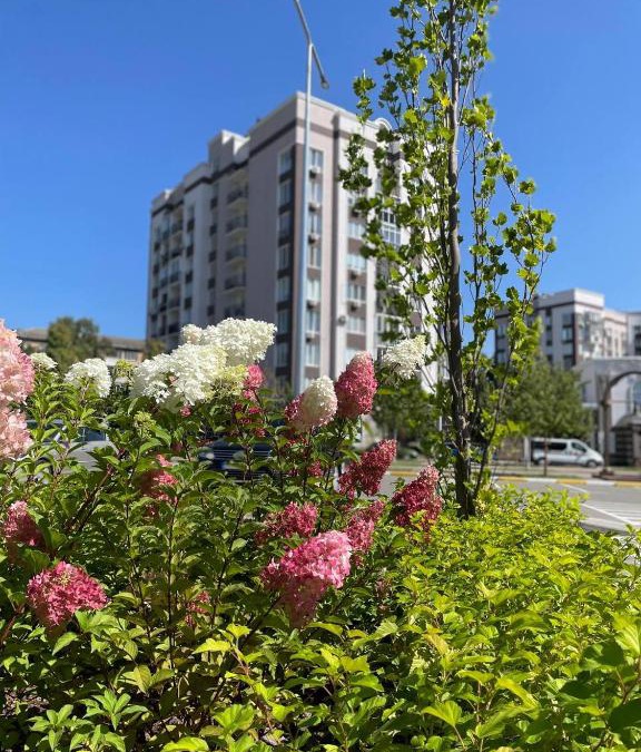 Bucha Apartment | Апартаменти Буча ЖК Центральний