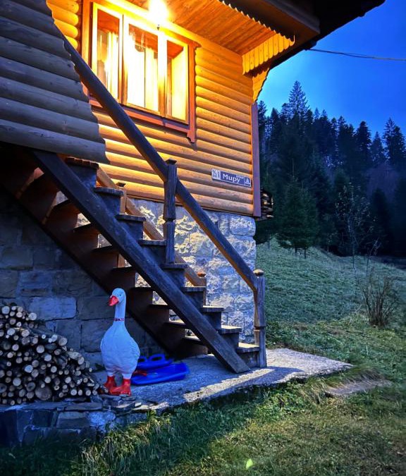 Tatariv Cabin | Буковик