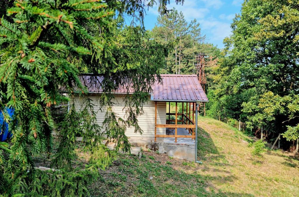 Mezdra Apartment | Къмпинг и Бунгала Брусен Хил - Camping and Bungalows Brusen Hill