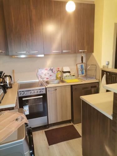 Petrich Apartment | Удобство