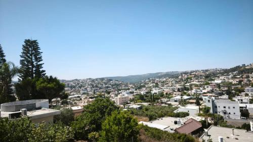 Daliyat al-Karmel Apartment | בית רזליאן - נוף בשכונה
