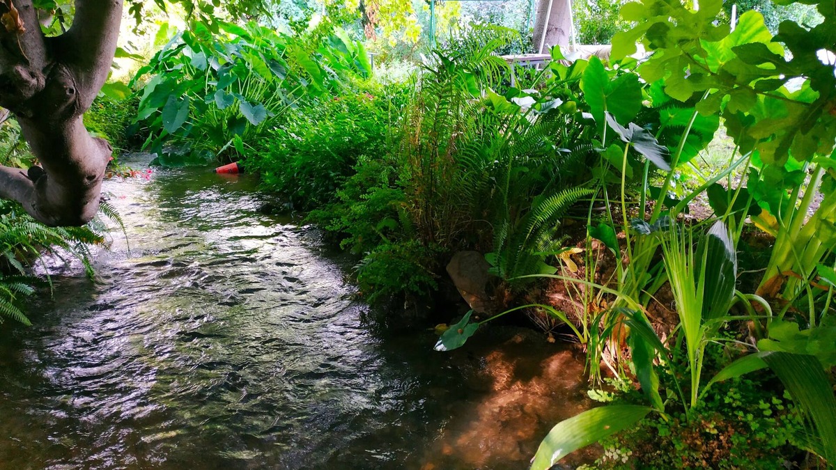 HaGoshrim House | דירה חמודה ואינטימית