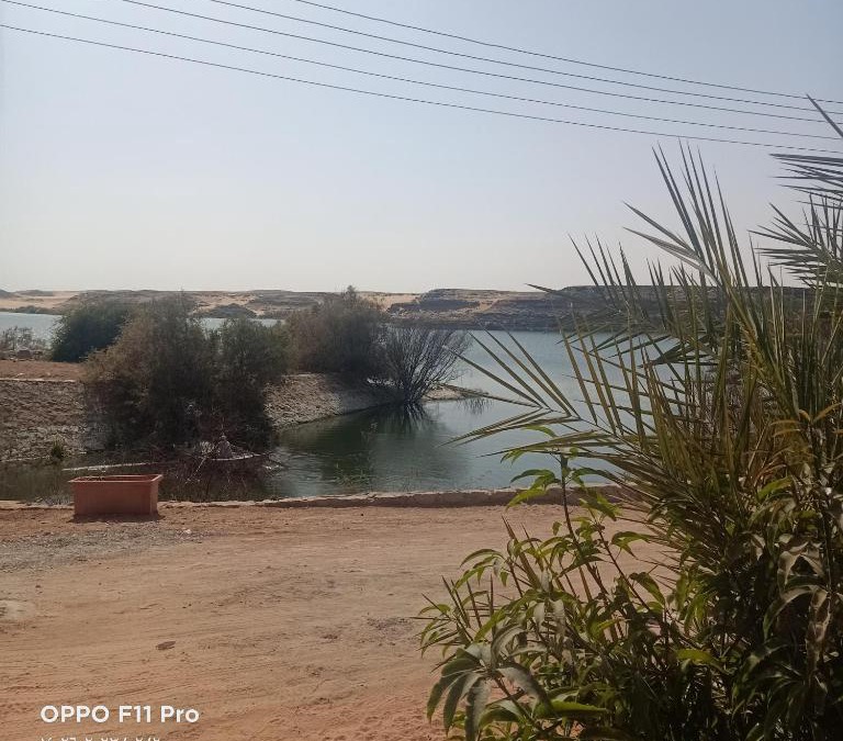 Abu Simbel Bed & Breakfast | آمون ابوسمبل