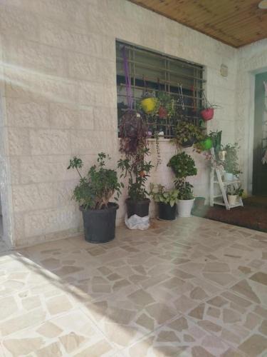 Al Abdali Apartment | استوديو مفروش بعرجان بالقرب من مستشفى الاستقلال والخدماتAmman panorama studio