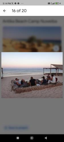 Taba Other | انتيكا كامب