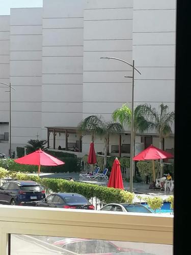 Port Said Apartment | شالية غرفة ورسيبشن وحمام ومطبخ عمارة 4 الدور الأول