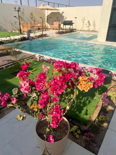 Mizail Ski Chalet | شاليه كوڤ 2 Cove Chalet