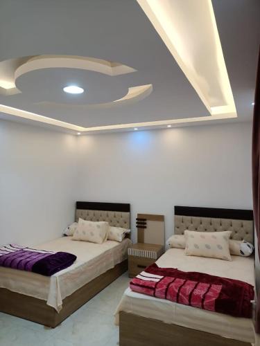 As Salamah Apartment | عمارة حلى