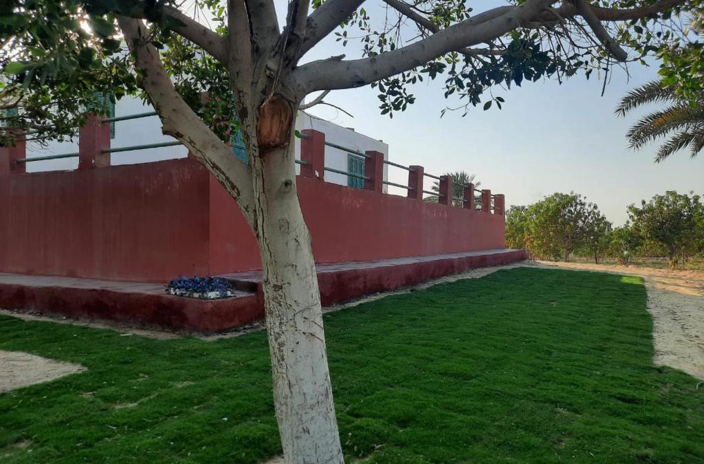 Giza Governorate Villa | فيلا ريفيه مميزه