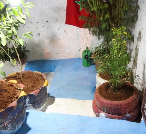 Bhalil Cabin | كهوف يحيى لسياحة والمبيت البهاليل