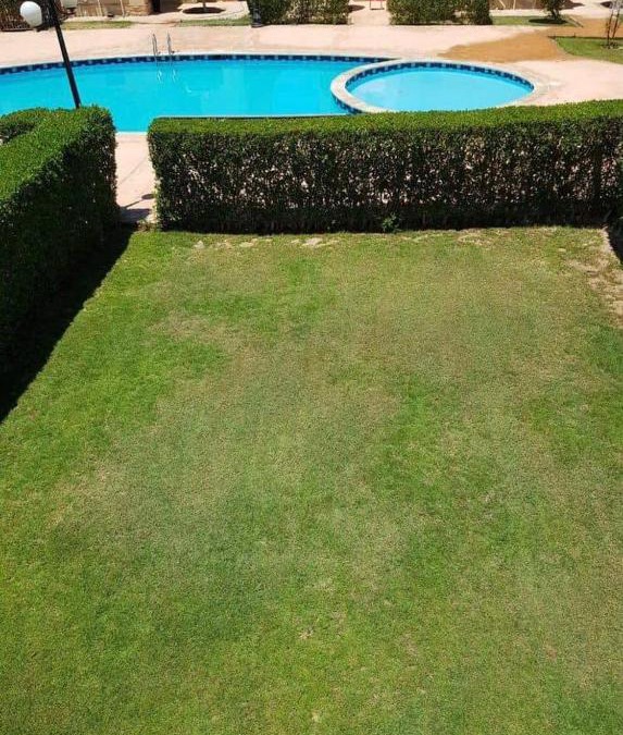 Ismailia Villa | مارسيليا بيتش 3