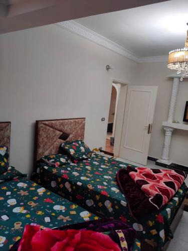 Nasr City Apartment | مدينه نصر عمارات ميلسا امام ستي ستارز