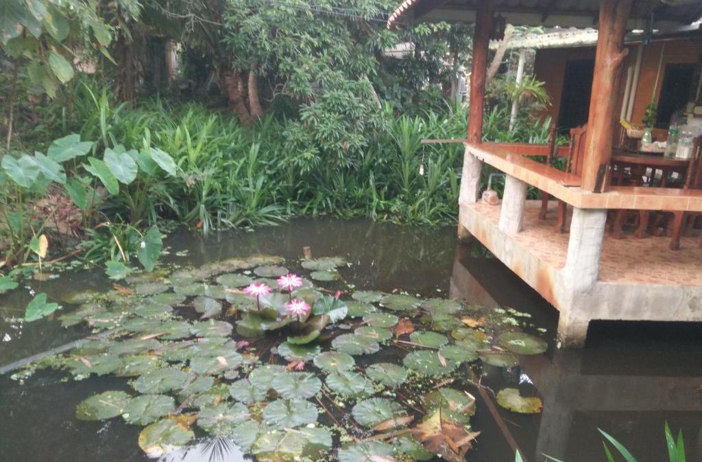 Mueang Nga House | ต้งโฮมหละปูน ณ ตูบคำ