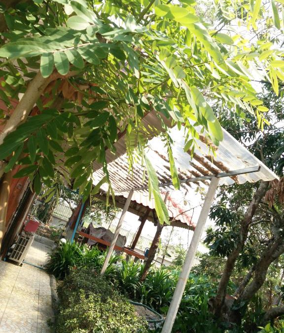Mueang Nga House | ต้งโฮมหละปูน