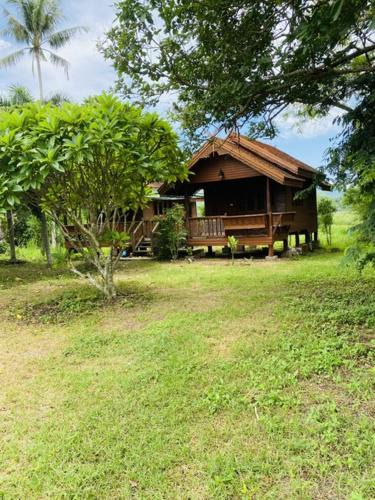 Wang Nam Khiao Other | บ้านสวนแค้มป์ปิ้ง ท้ายเขื่อน วังน้ำเขียว