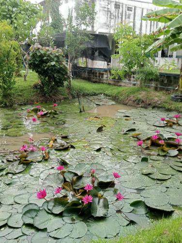 Bang Saen Ville Other | บ้านเพื่อนโฮมสเตย์