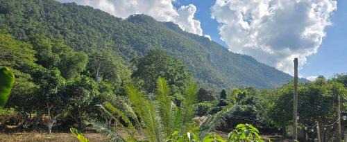 Chiang Dao House | ปิงโค้งเม้าท์เท่นวิว