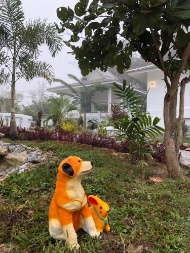 Nan Resort | ปันดีเต็มวง Pandeethemwong