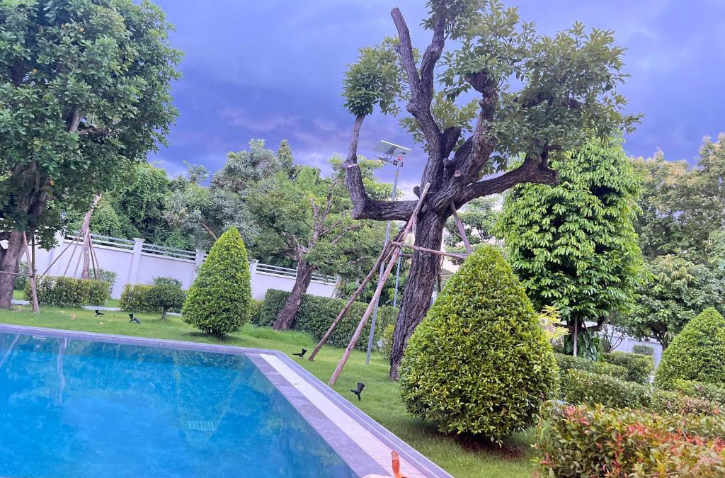 San Pa Thong House | พิมพ์ตะวันภูวิลล่า