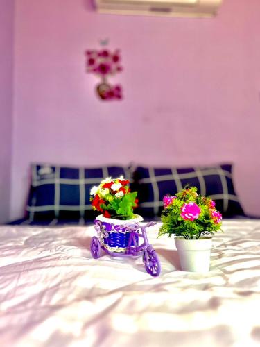Ko Libong House | ลูกดกแน่โฮมสเตย์ ที่พักเกาะลิบง