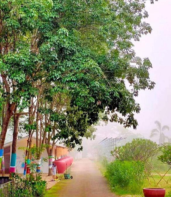 K. Phu Pieng Resort | ฮักฮิมเกี๋ยน รีสอร์ท น่าน Hug Him Kien