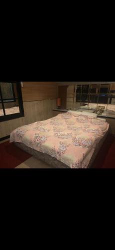 Yatsushiro Hotel | ホテルセピア