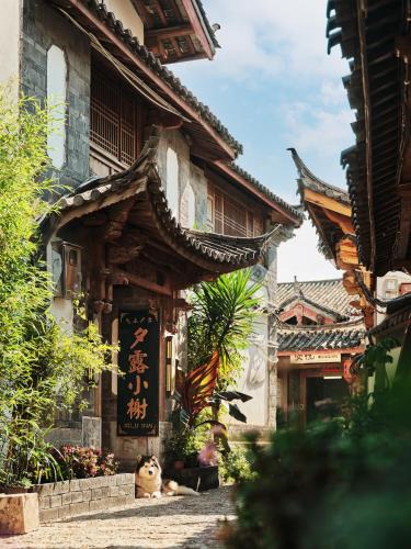Dayan Old Town House | 夕露小榭古城南门店 Xilu Xiaoxie Inn Old Town Lijiang