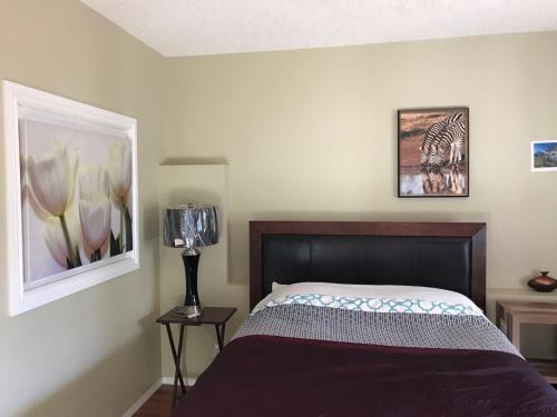 Northwest Calgary House | 民宿Ann's House in Calgary