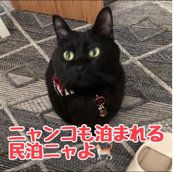 Shussaku Cho Bed & Breakfast | 男性のみでの利用不可ーペット連れ歓迎 女性連れ専用ーotomari MUSUHIータイ古式マッサージや妊産婦ケアが受けられる 源泉掛け流し温泉側の宿 ドッグラン可