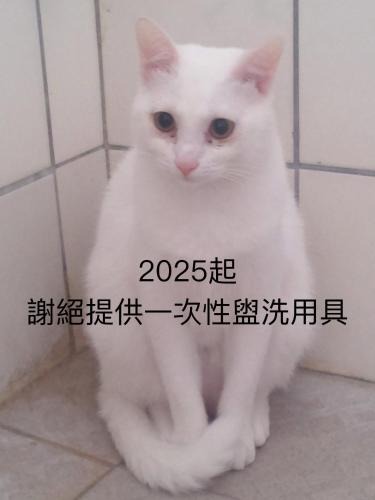 Xincheng House | 自然海naturalhigh