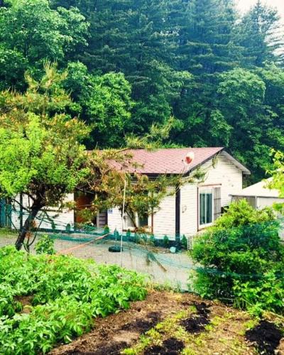 Seorak Apartment | 숲속 하얀산장