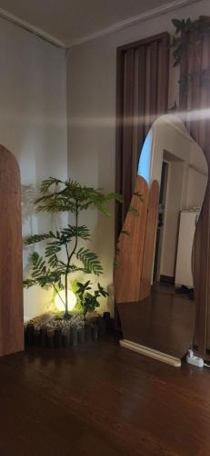 Seogang-dong Apartment | 애플, Hongdae Yeontral park