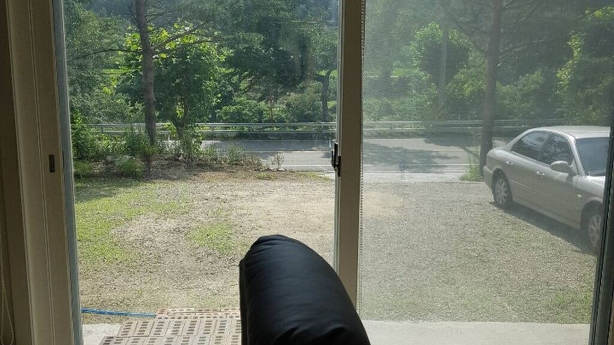 Goseong-gun House | 진부령 valley.