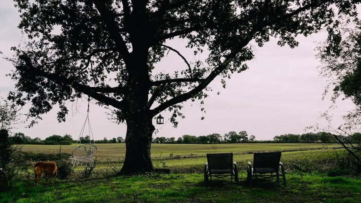Jemelle Cabin | 1 Bed Tiny House Sleeps 2 -Hot Tub -Coal Fireplace