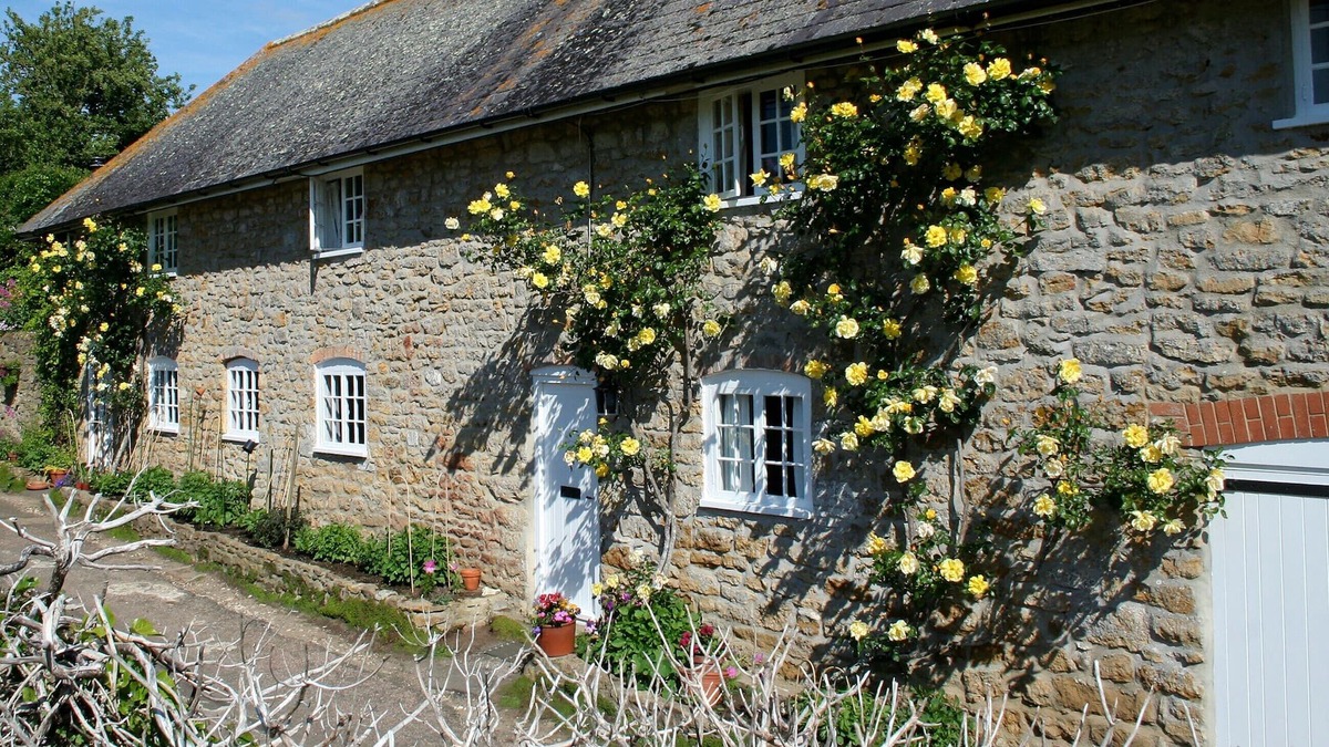 Abbotsbury Cottage | 1 bedroom accommodation in Abbotsbury, near Weymouth