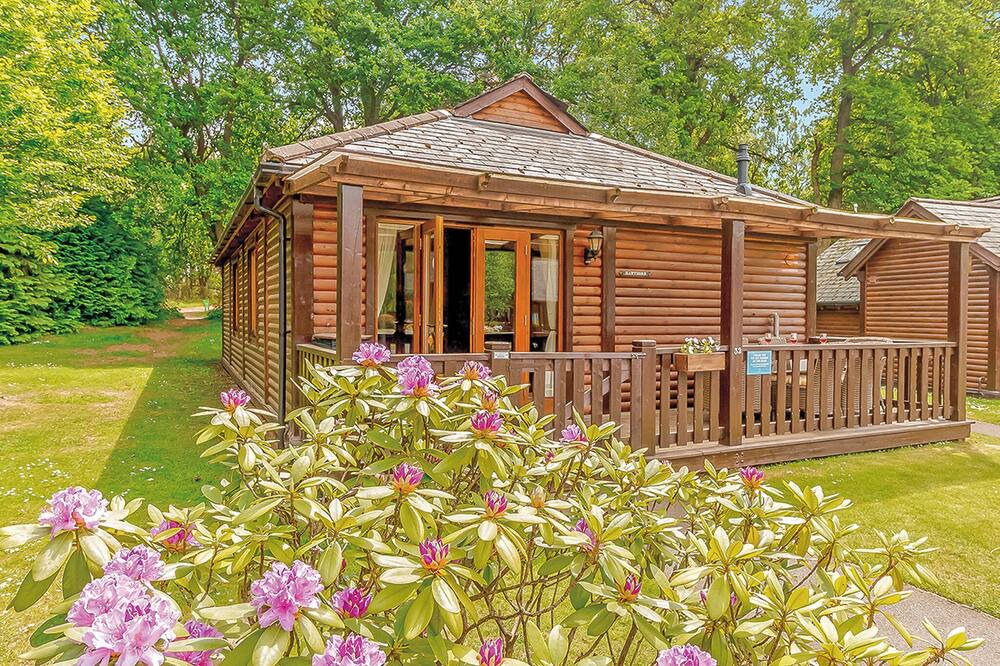 Tilford Ski Chalet | 1 bedroom accommodation in Tilford, Farnham