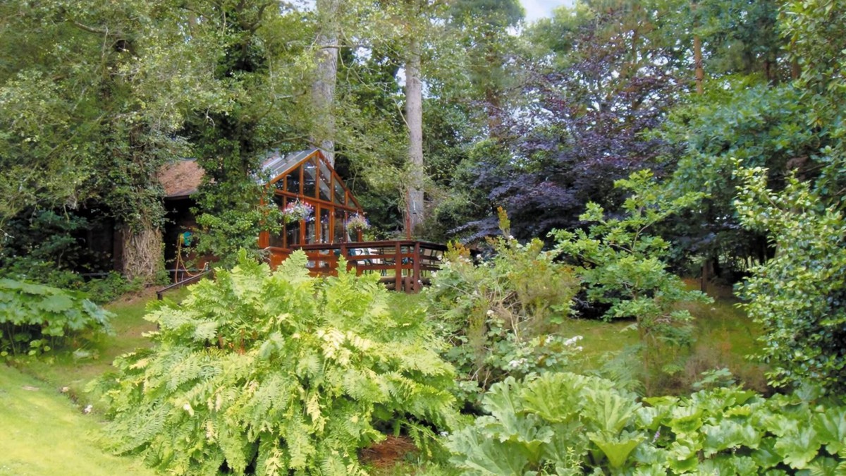 New Forest District Cottage | 1 bedroom accommodation in Furze Hill, near Fordingbridge