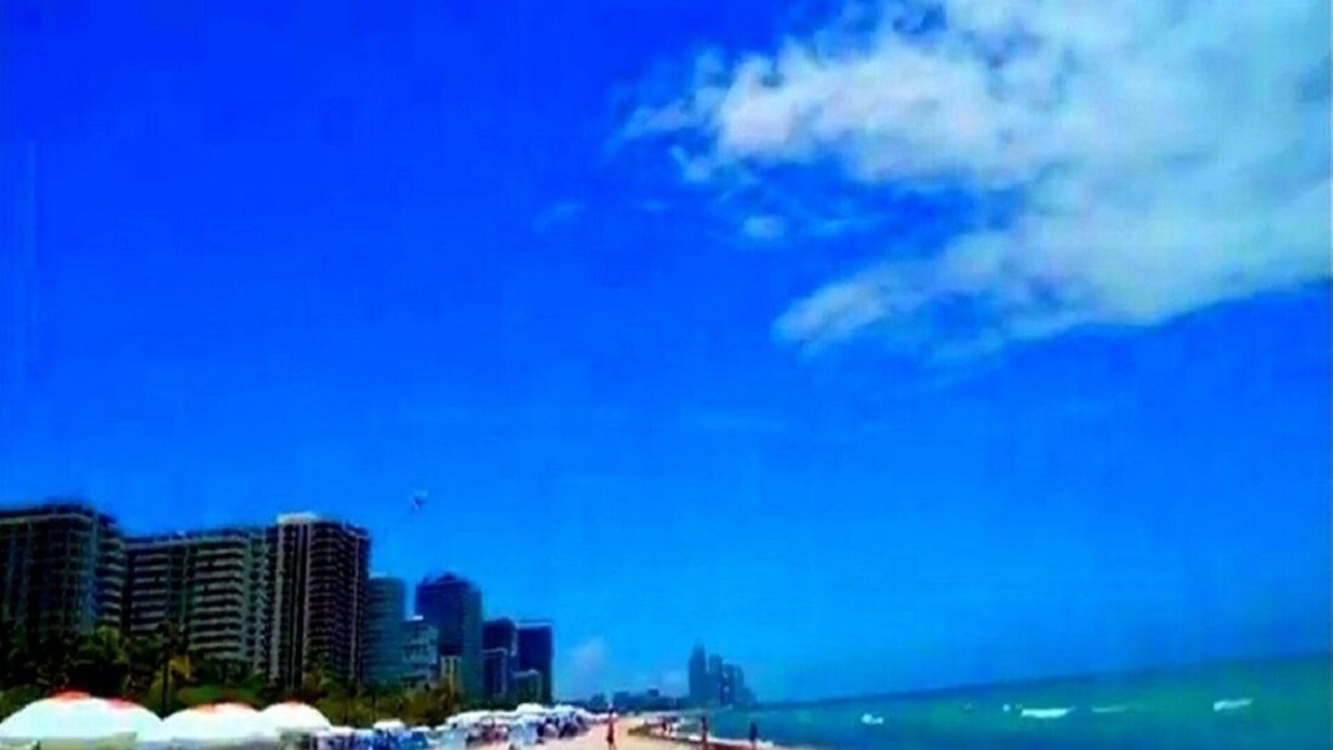 North Miami Cottage | 1 bedroom Miami Beach Florida.
