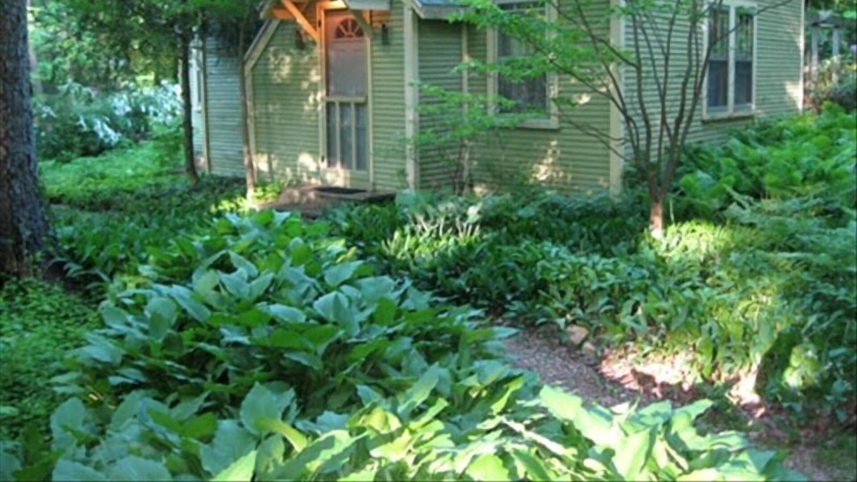 Glenn Cottage | 1 Block from Lake Michigan, Traditional Michigan Cottage