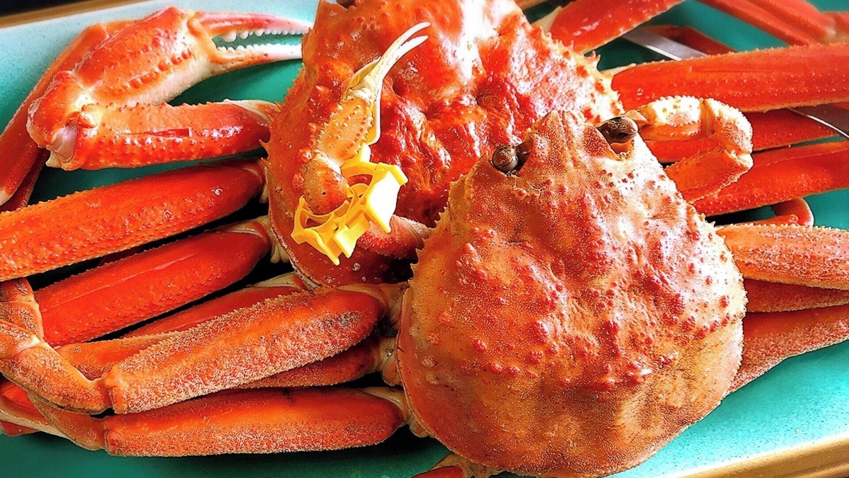 Sakai Hotel | 1 night 2 meals included Full of seafood A lux/Sakai Fukui