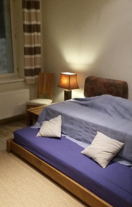 Zittau Apartment | 1-Raum Wohnung Eiche