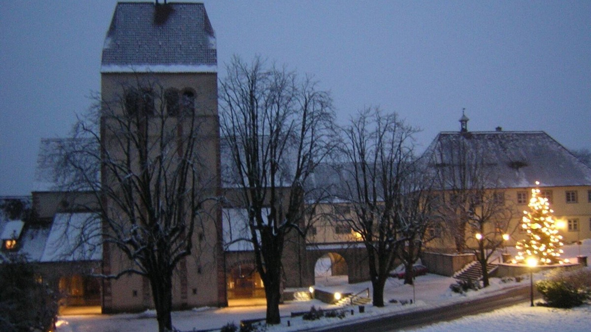 Reichenau Apartment | 1-room apartment, 25sqm, 1 living/bedroom, with fireplace, max. 2 persons