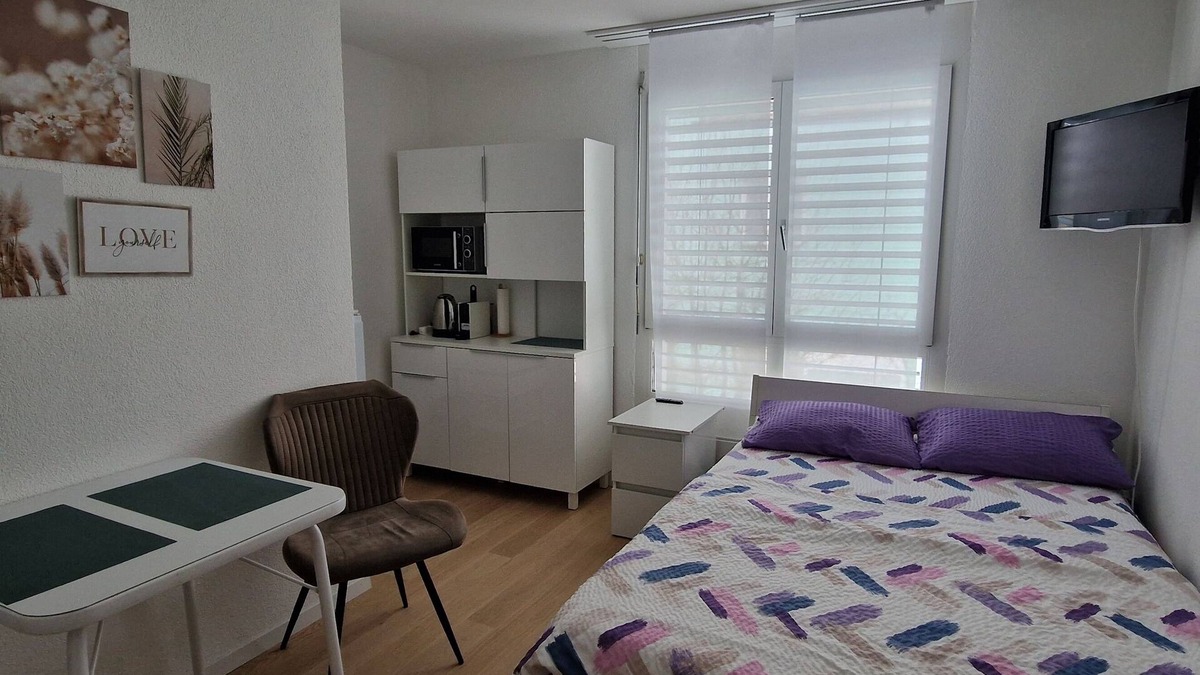 Andelfingen District Apartment | 1 room studio with private bathroom and near the rhein